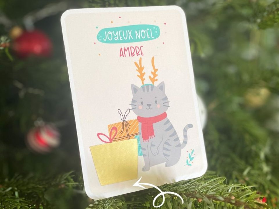 image Chat de Noël