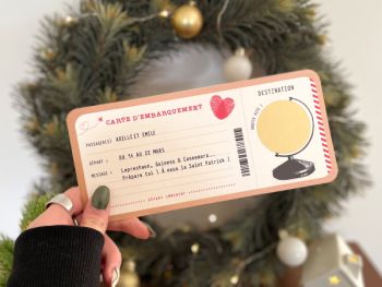 Billet d'avion - Voyage surprise