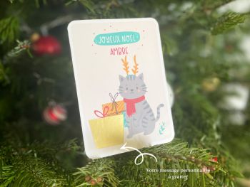 Chat de Noël