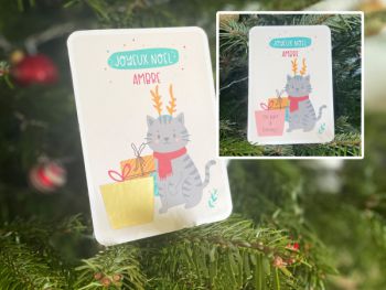 Chat de Noël