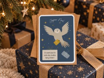 Chouette de Noël