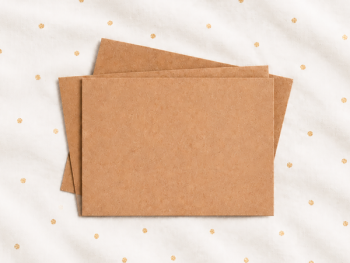 10 Enveloppes Vierges