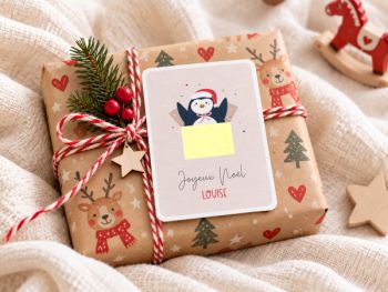Pingouin de Noël