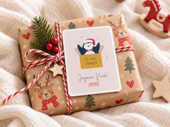 Pingouin de Noël